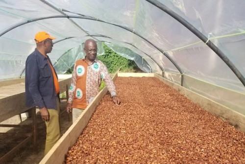 15/08/21 Le cacao camerounais retrouve les chemins du Mexique et des États-Unis après une éclipse d'un an